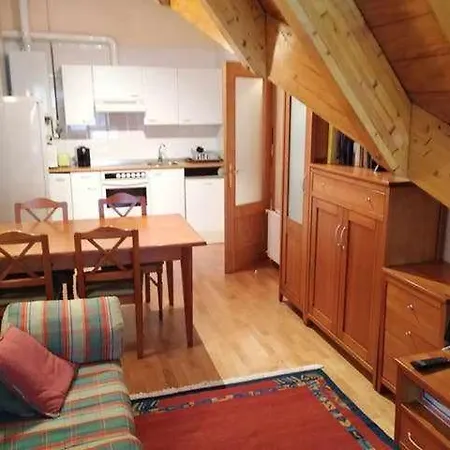 Atico Elurra Formigal